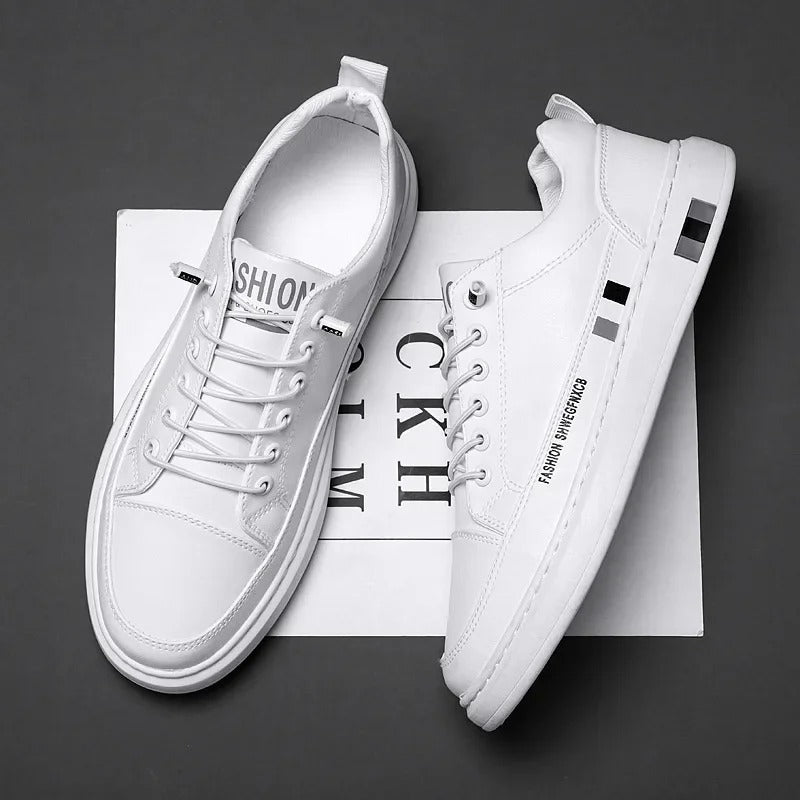 gid://shopify/MediaImage/24532721107038