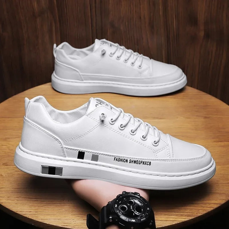 gid://shopify/MediaImage/24532721139806