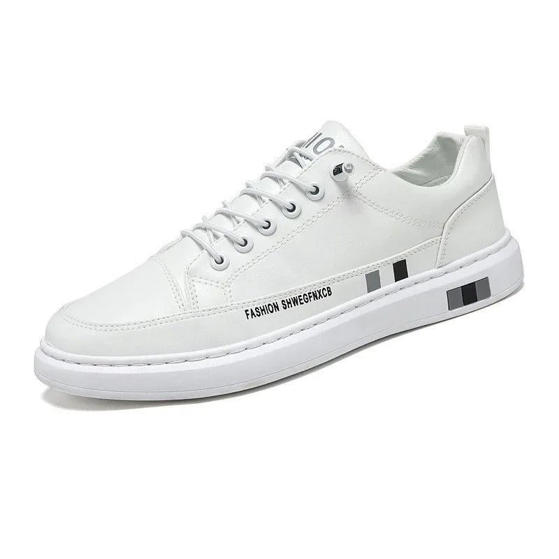 gid://shopify/MediaImage/24532721205342